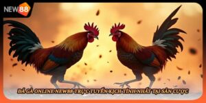 Đá Gà Online New88 Trực Tuyến Kịch Tính Nhất Tại Sân Cược