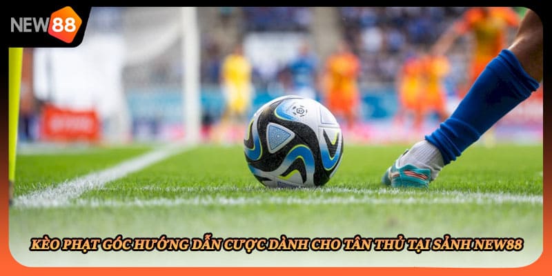 Kèo Phạt Góc Hướng Dẫn Cược Dành Cho Tân Thủ Tại Sảnh New88