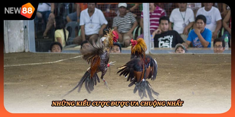 Những kiểu cược được ưa chuộng nhất
